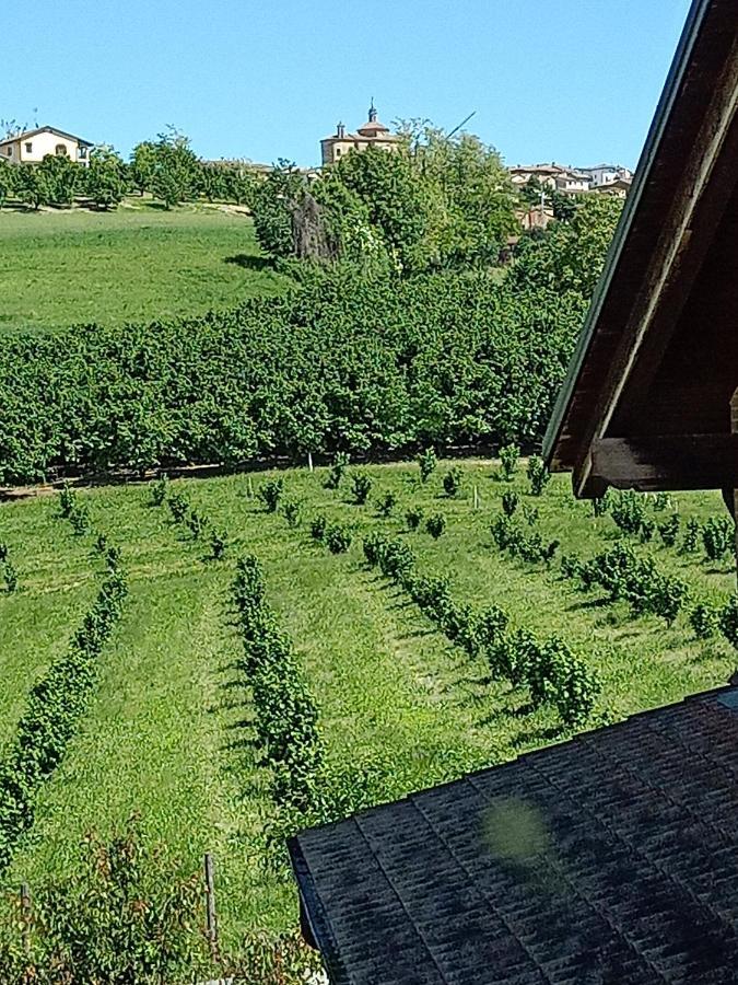 Vite Dipinte 1 Bilocale In Langa Apartamento Novello Exterior foto